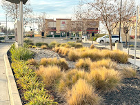 sig landscape - Photo 5 - Car repair in , Modesto