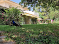 Photos des visiteurs Villa Ranch Las Brisas 29650 Mijas (miniature)