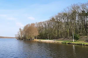 Jezioro Lucienskie image