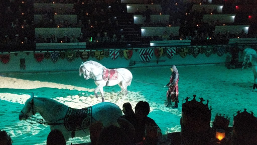 Dinner Theater «Medieval Times Dinner & Tournament», reviews and photos, 5900 Sugarloaf Pkwy #517, Lawrenceville, GA 30043, USA