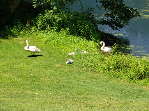 Golf Club «Gull Lake View Golf Club & Resort», reviews and photos, 7417 N 38th St, Augusta, MI 49012, USA