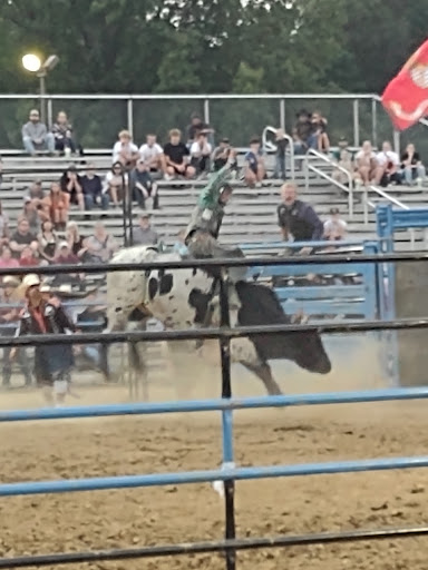 Festival «Chelsea Community Fair», reviews and photos, 20501 W Old US Hwy 12, Chelsea, MI 48118, USA