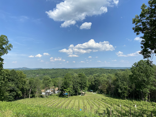 Vineyard «Clearview Vineyard», reviews and photos, 35 Clearview Ln, Warwick, NY 10990, USA