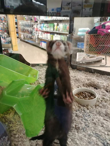 Pet Supply Store «Petco Animal Supplies», reviews and photos, 169 Brooklawn St, Farragut, TN 37934, USA