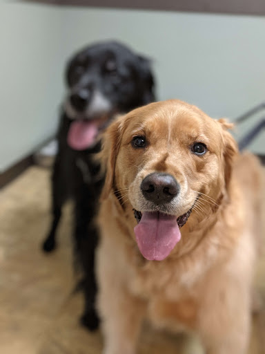 Animal Hospital «Dickinson McNeill Veterinary Clinic», reviews and photos, 99 Bordentown Chesterfield Rd, Chesterfield, NJ 08515, USA