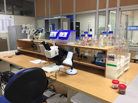 Laboratorio de Aguas FCNM