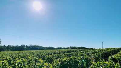 Earl Gaucher Eric - Domaine des Cormiers Roux à Chançay