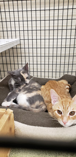 Pet Supply Store «Pet Supplies Plus», reviews and photos, 585 Moseley Rd, Fairport, NY 14450, USA