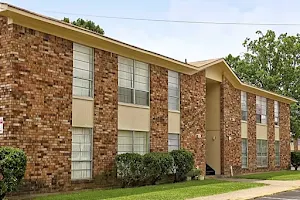 The Pines Apartments image