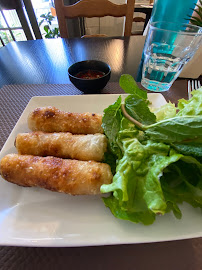 Plats et boissons du Restaurant vietnamien Le Pont d'Asie à Montauban - n°1
