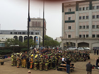 Utica Chiropractic - Photo 5 - Car repair in Utica, NY, Utica