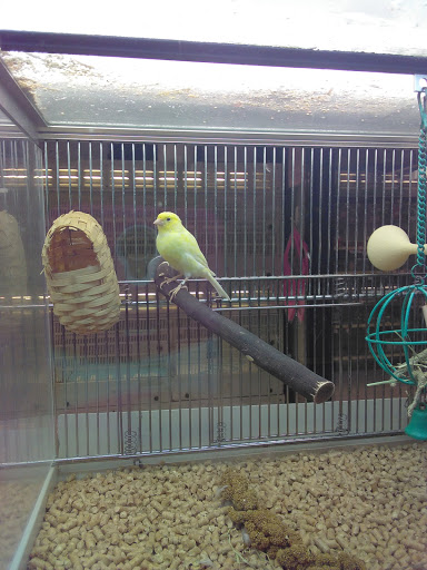 Pet Supply Store «PetSmart», reviews and photos, 213 Hartford Ave, Bellingham, MA 02019, USA