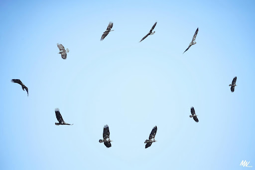 Nature Preserve «Crosby Farm Regional Park», reviews and photos, 2595 Crosby Farm Rd, St Paul, MN 55116, USA