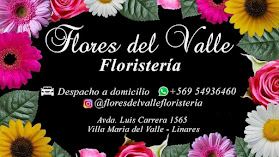 FLORISTERÍA Y BAZAR FLORES DEL VALLE