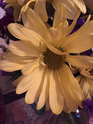 Florist «Roanoke Florist», reviews and photos, 500 US-377, Roanoke, TX 76262, USA