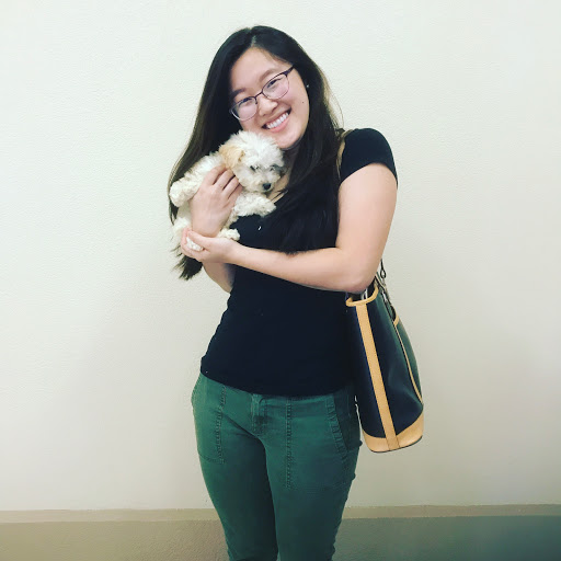 1 Love Dog Rescue image