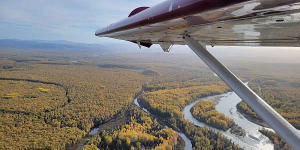 Talkeetna Air Taxi