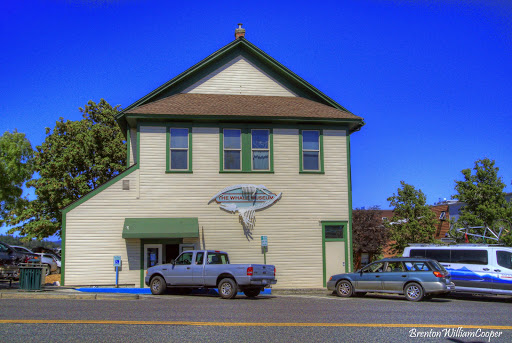 Museum «The Whale Museum», reviews and photos, 62 1st St, Friday Harbor, WA 98250, USA