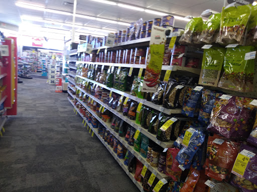 Drug Store «CVS», reviews and photos, 505 E 1100 N, Chesterton, IN 46304, USA