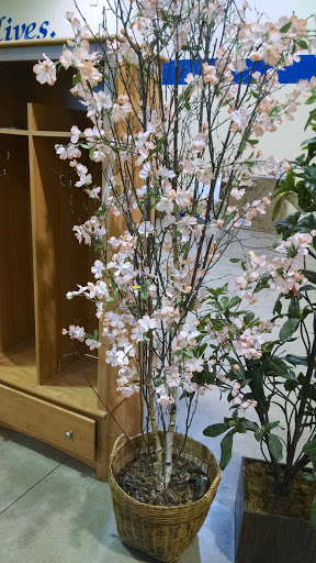 Thrift Store «Goodwill», reviews and photos, 7114 Winchester Rd, Memphis, TN 38125, USA