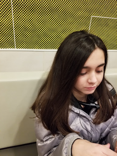 Beauty Salon «The Ultimate Salon and Spa», reviews and photos, 51177 Van Dyke, Shelby Charter Township, MI 48316, USA