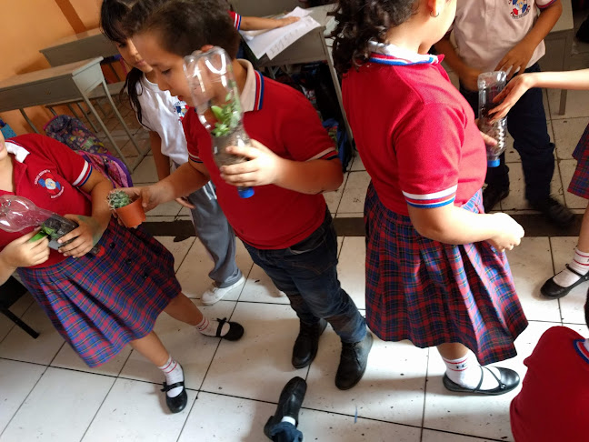 Opiniones de Escuela Nuevo Continente en Guayaquil - Escuela