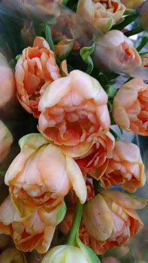 Florist «Portland Flower Market», reviews and photos, 3624 N Leverman St, Portland, OR 97217, USA