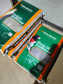 Pet's Barn - Photo 6 - Car repair in San Antonio, TX, San Antonio