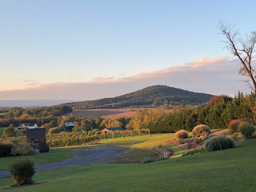Winery «Third Hill Winery @ DeMello Vineyards», reviews and photos, 2110 Quicksburg Rd, Quicksburg, VA 22847, USA