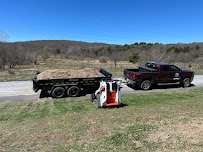 Kilts Stump Grinding - Photo 6 - Car repair in , Utica