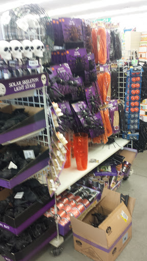 Dollar Store «Dollar Tree», reviews and photos, 13120 US-301 #133, Riverview, FL 33578, USA