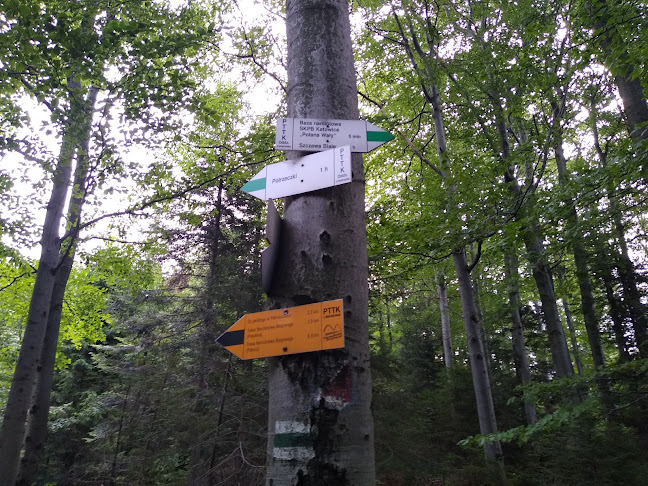 Comentarii opinii despre Baza Namiotowa SKPB Katowice "Polana Wały"