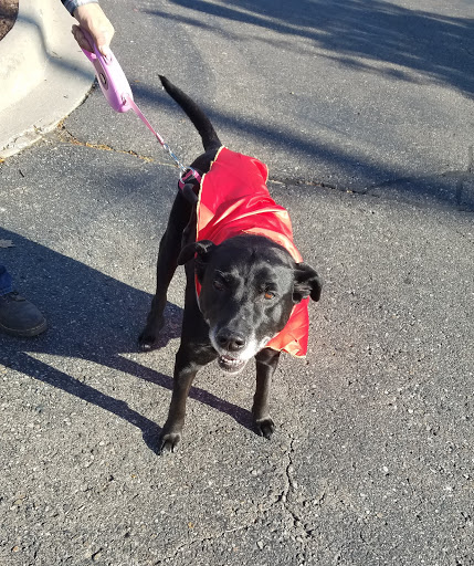 Pet Supply Store «Pet Supplies Plus», reviews and photos, 3110 W Silver Lake Rd, Fenton, MI 48430, USA