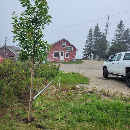 Barney's Cove Lobster Co