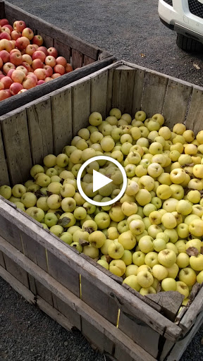 Produce Market «Maple Acres Farm Market», reviews and photos, 2656 Narcissa Rd, Plymouth Meeting, PA 19462, USA