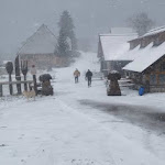 Photo n°6 de l'avis de Eddy.c fait le 26/02/2023 à 14:37 sur le  Reinertonishof à Schönwald im Schwarzwald