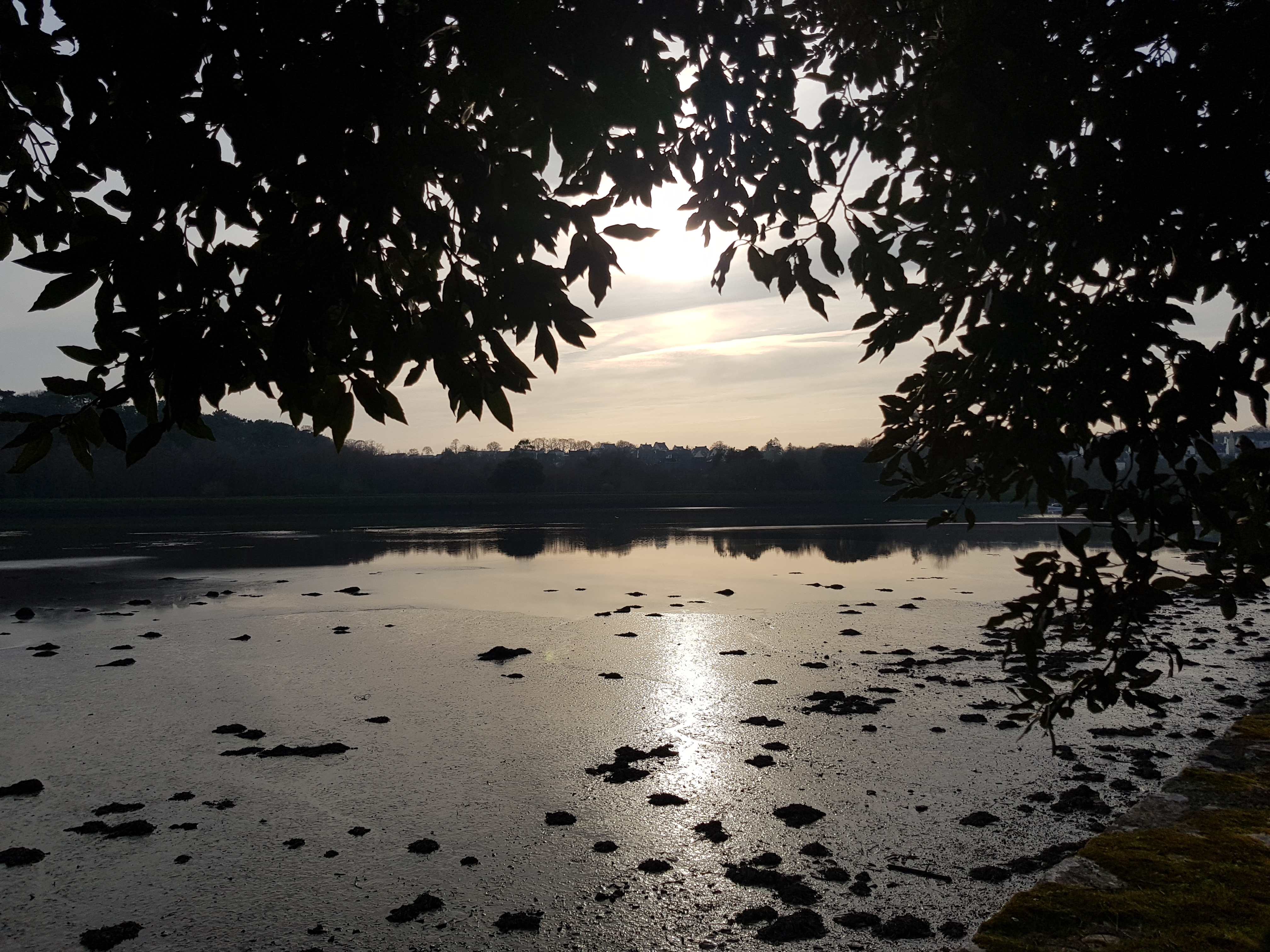 Photo n° 8 de l'avis de Lénaïk.E fait le 21/05/2019 à 20:08