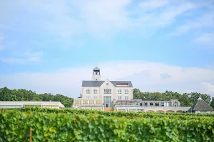 Nakaizu winery Chateau T · S image