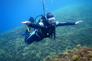 Diving Calvi image