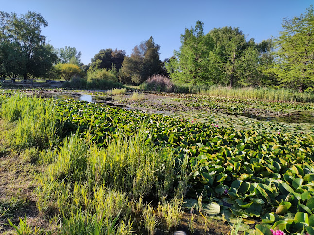 Jardín Botanico Universidad de Talca