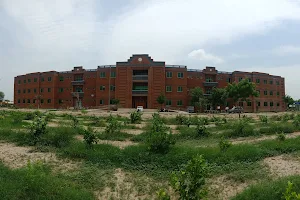 Muhammad Nawaz Sharif University of Agriculture,Multan image