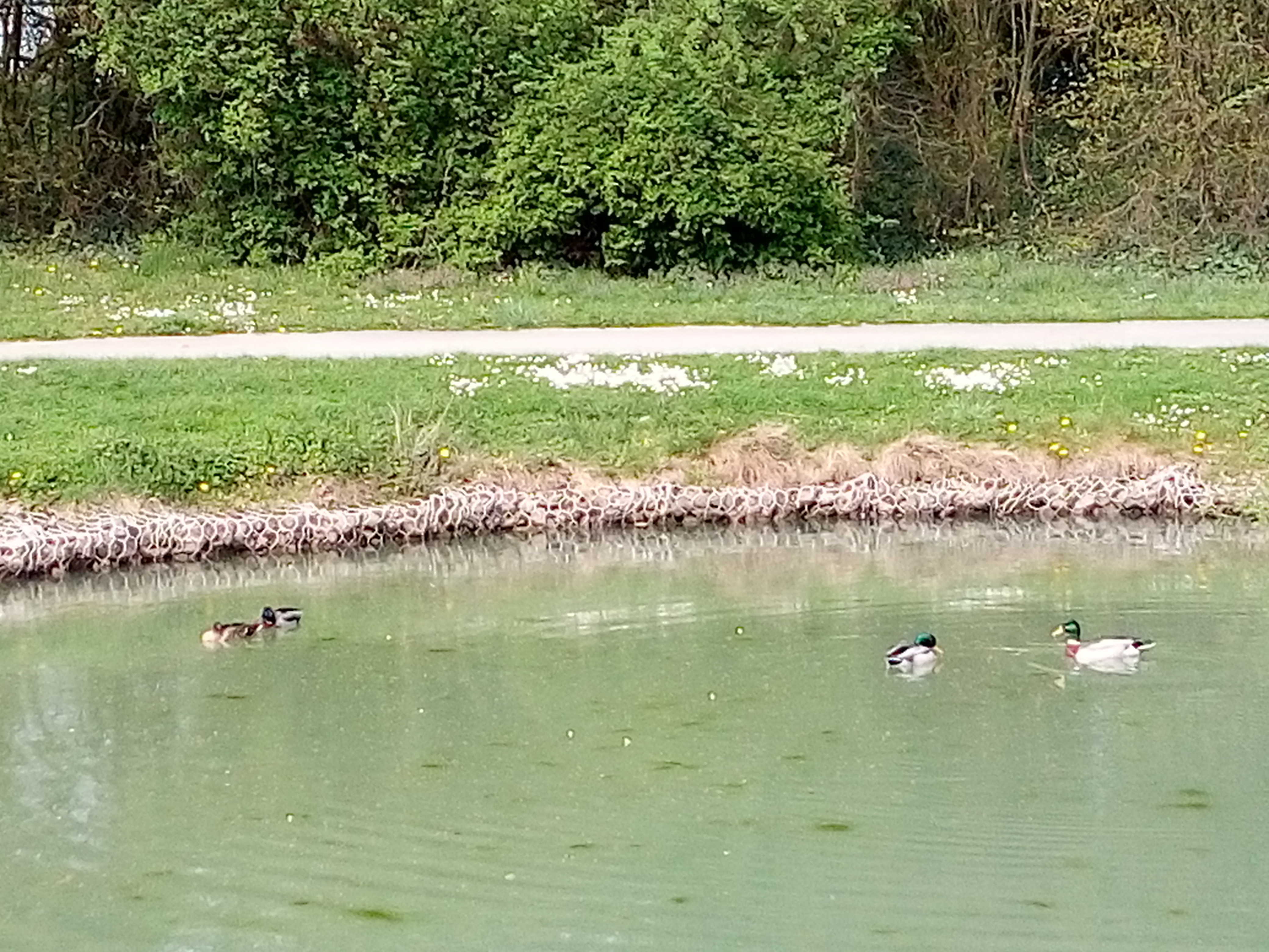 Photo n° 7 de l'avis de coralie.a fait le 11/05/2019 à 16:24
