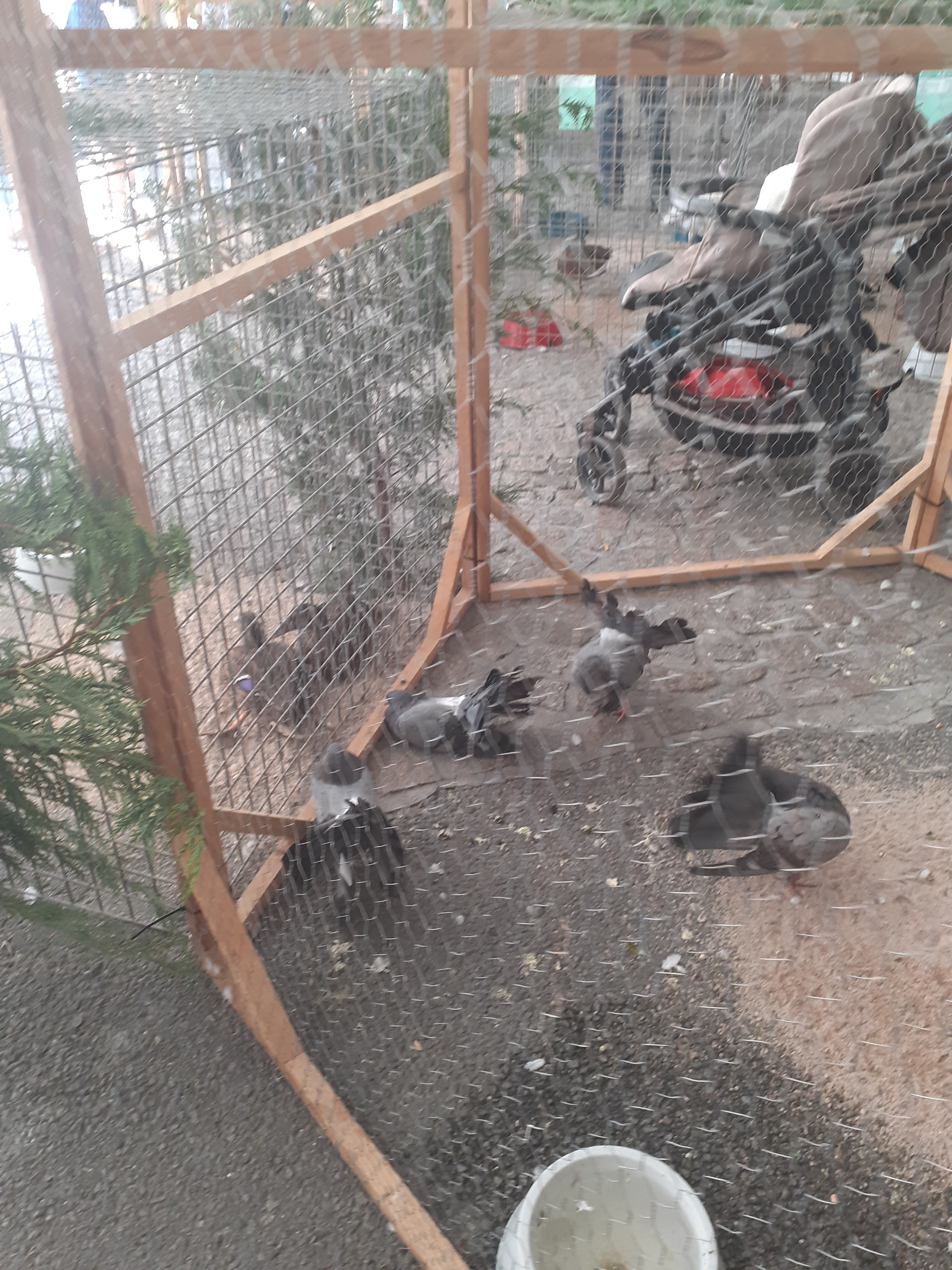 Photo n° 2 de l'avis de Chloe.a fait le 24/08/2019 à 15:17