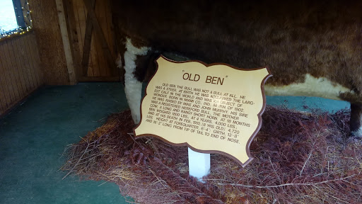 Tourist Attraction «Sycamore Stump», reviews and photos, 1402 Defenbaugh St, Kokomo, IN 46902, USA