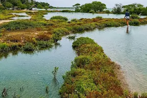 Kalpitiya Lagoon image