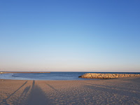 Parc naturel régional de Camargue du Restaurant de fruits de mer La Playa ... en Camargue à Saintes-Maries-de-la-Mer - n°1