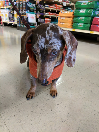 Pet Supply Store «PetSmart», reviews and photos, 11134 Parkside Dr, Knoxville, TN 37934, USA