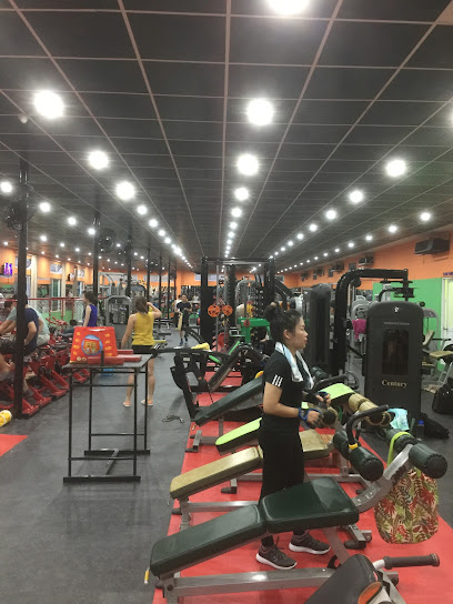 Thanh Hai Sport Gym