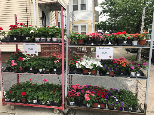 Florist «Crystal Florist & Greenhouse II», reviews and photos, 311 Passaic St, Garfield, NJ 07026, USA