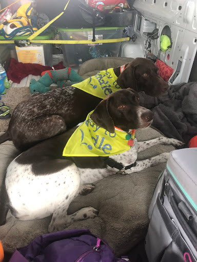 Pet Supply Store «PetSmart», reviews and photos, 8695 Park Meadows Center Dr, Lone Tree, CO 80124, USA